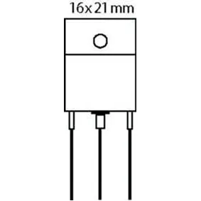 10592