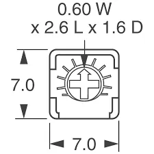 20619