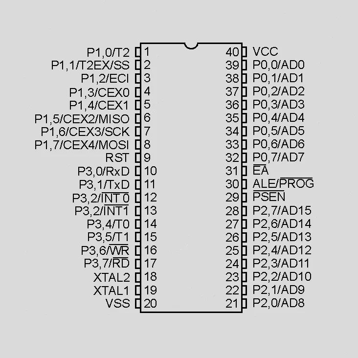 24533