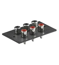 RCA/Phono terminal 6-pol 36x62mm.