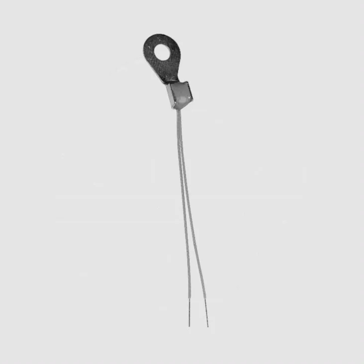 NTC Probe Assembly 10K 2%