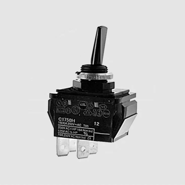 Toggle Switch 2-pol ON/OFF 16A/250V Black