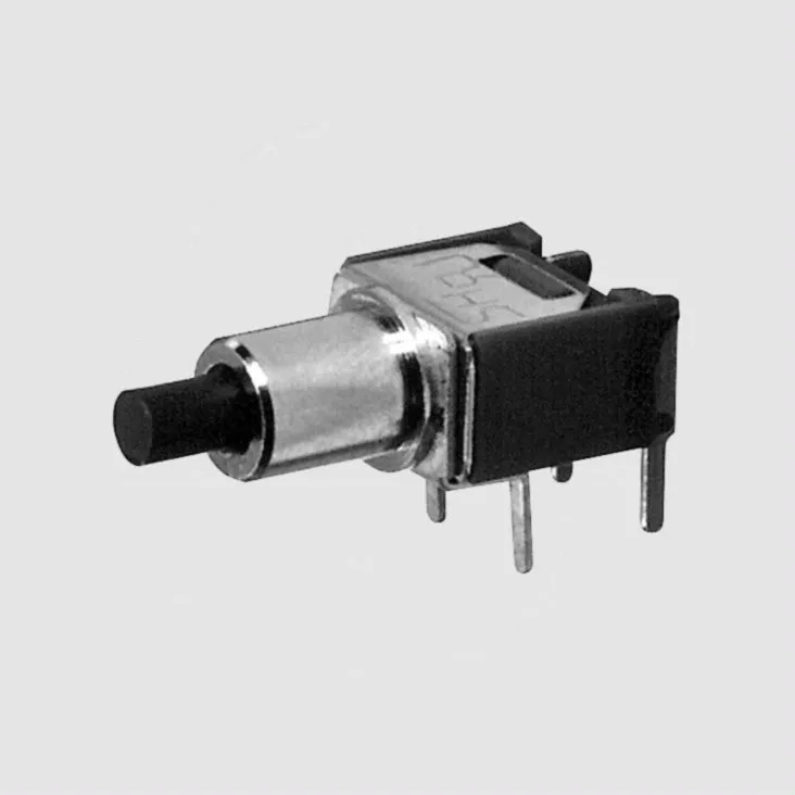 Momentary Switch SPST 120V 1A HorizPrint