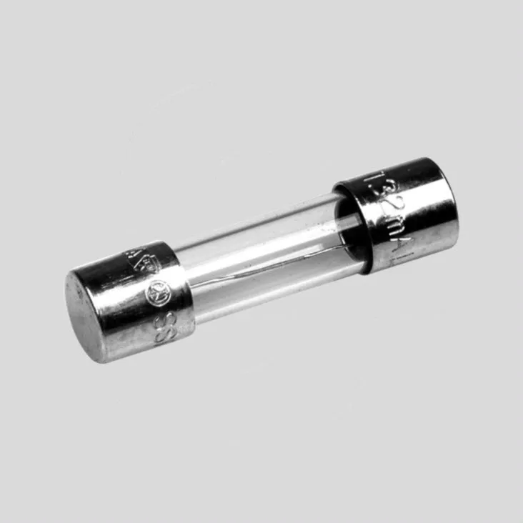 Sikring Træg (T) 0,16A (160mA), 5 x 20mm