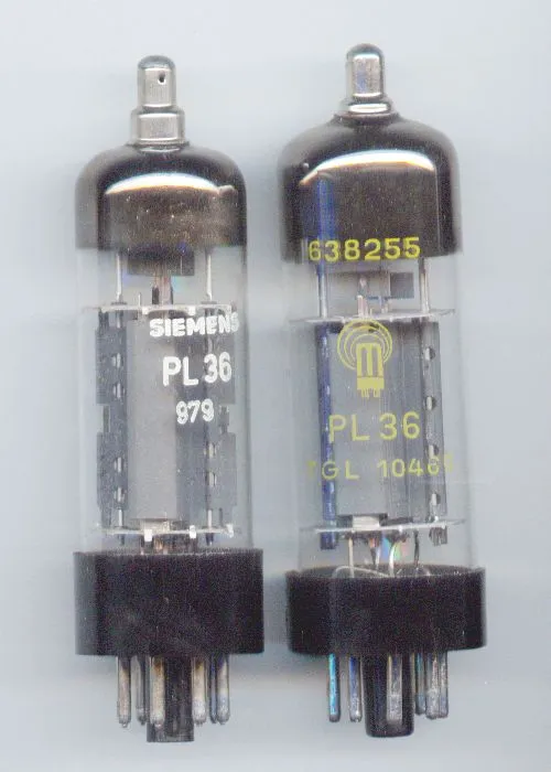 PL36