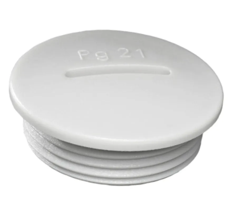 [134144] Blanking Plug PG21 8mm IP54 LGY