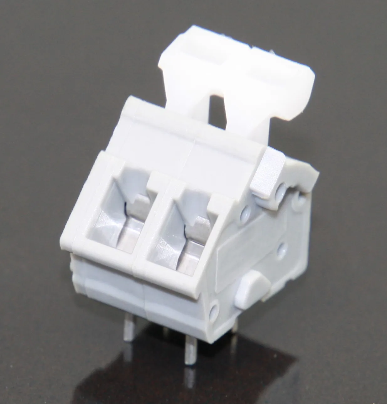 [87562] Spring Terminal Block 250V 2-Pole Lever