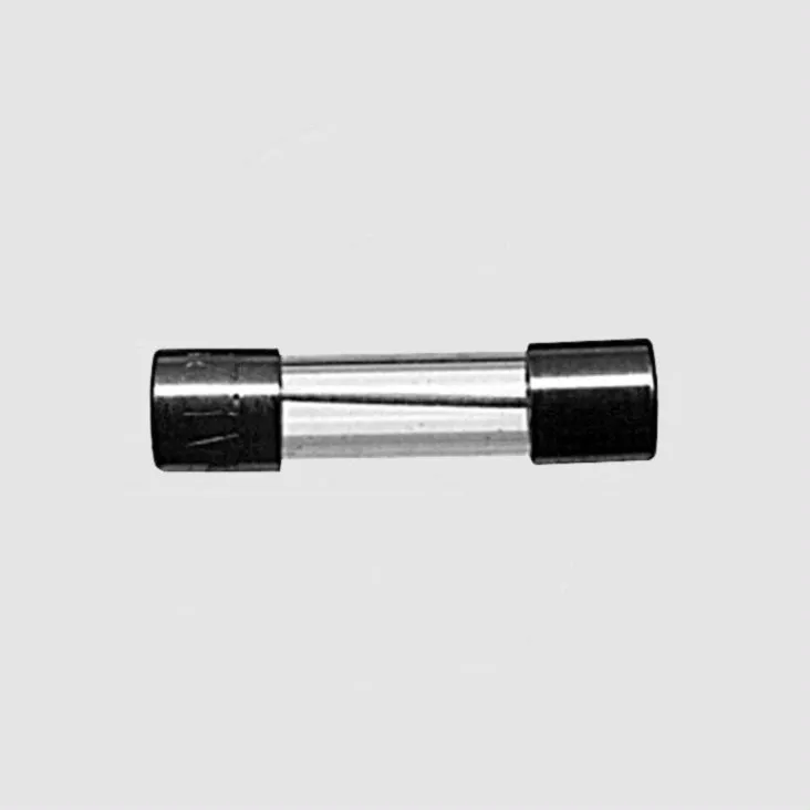[89005] Sikring Træg (T) 0,1A (100mA), 5 x 20mm