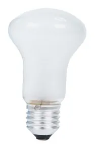 [116831] Lampe 240V 40W E27 standard mat soft