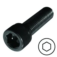 [137329] Hex. Socket Screws M3 x 6mm. SORT 1. stk
